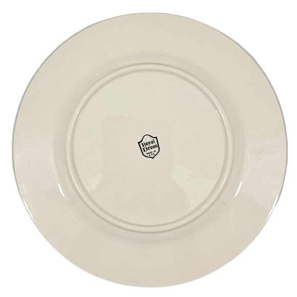 Royal Devon USA Simplicity Platinum 8 ¼” Salad Luncheon Plates – Set of 5 - Picture 5 of 16